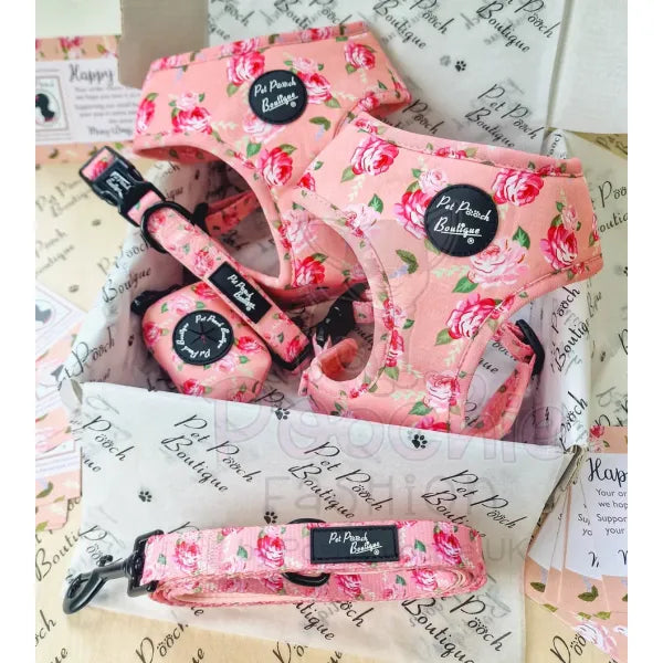 Sunday Rose Floral Puppy Dog Collar Pet Pooch 2