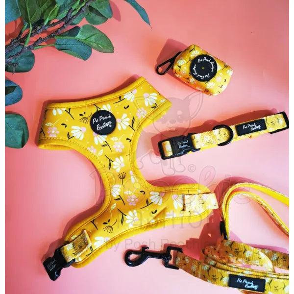 Sunshine and Daisies Dog Harness Pet Pooch 4