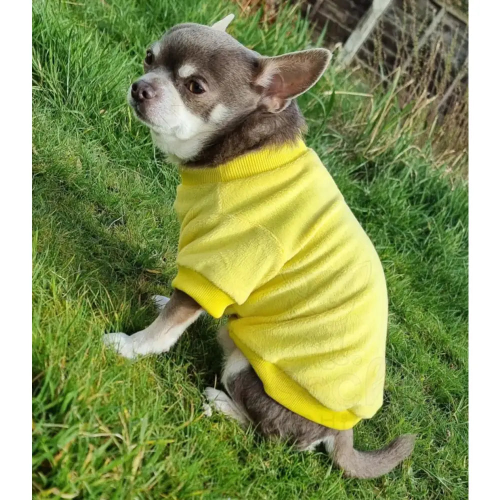 Sunshine Yellow Micro Fleece Dog Sweatshirt - Rich Paw - 4