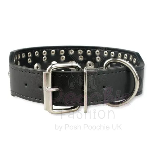 Super Stud Large Breed Dog Collar in Black - Posh Pawz - 2