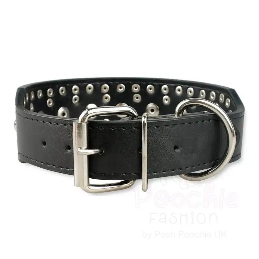 Super Stud Large Breed Dog Collar in Black - Posh Pawz - 2