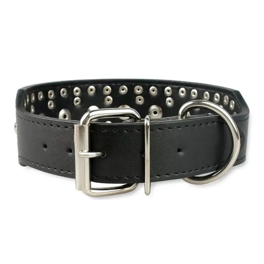 Super Stud Large Breed Dog Collar in Black - Posh Pawz - 2