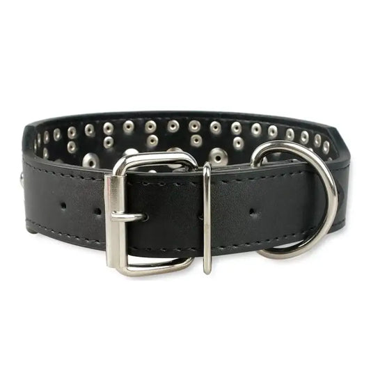 Super Stud Large Breed Dog Collar in Black - Posh Pawz - 2