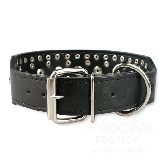 Super Stud Large Breed Dog Collar in Black - Posh Pawz - 2