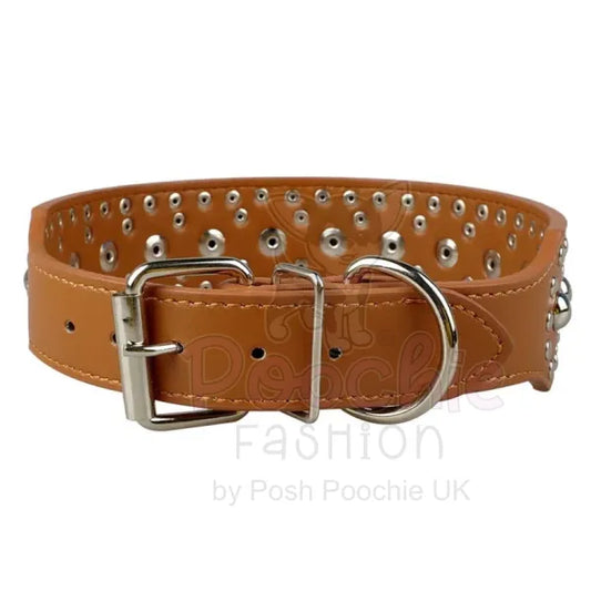 Super Stud Large Breed Dog Collar in Brown - Posh Pawz - 2