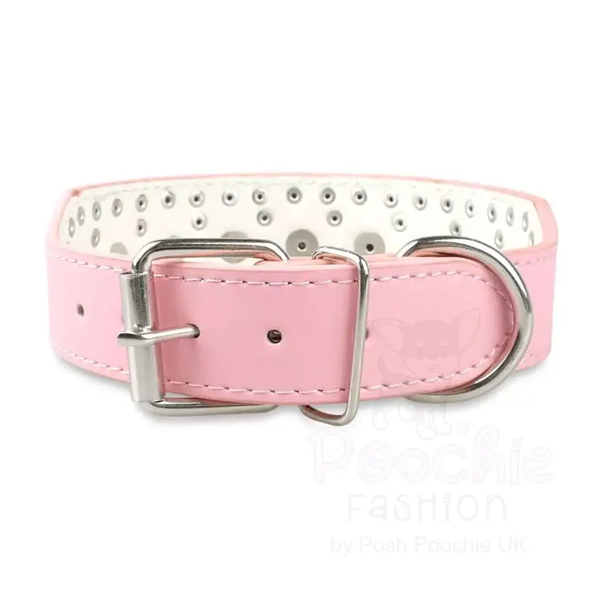 Super Stud Large Breed Dog Collar in Pink - Posh Pawz - 2