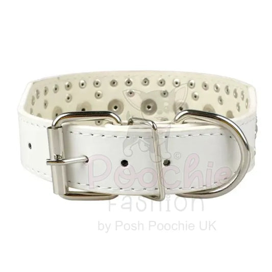 Super Stud Large Breed Dog Collar in White - Posh Pawz - 2