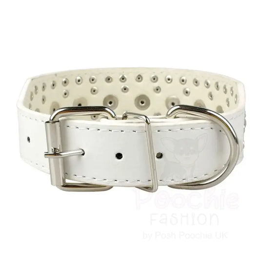 Super Stud Large Breed Dog Collar in White - Posh Pawz - 2