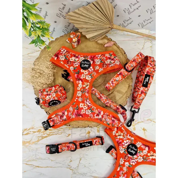 Sweet Marmalade Blossom Floral Dog Lead - Pet Pooch - 2