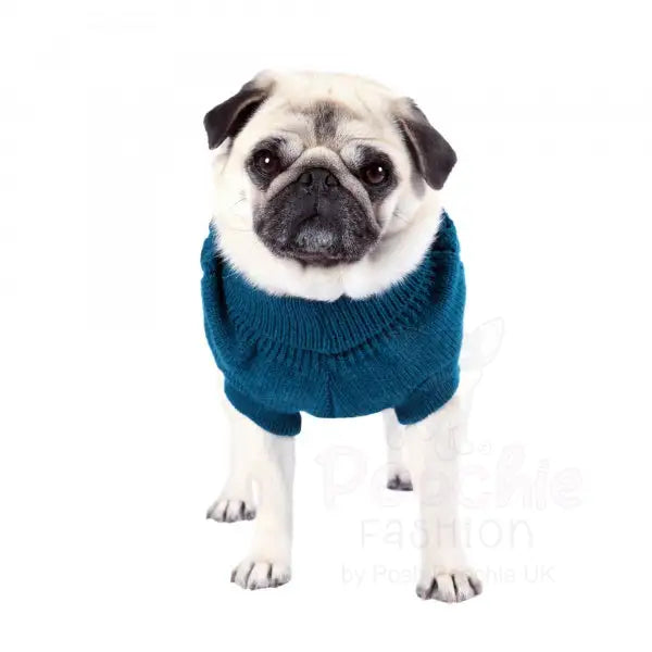 Teal Chunky Cable Knit Dog Jumper - Sale - 6