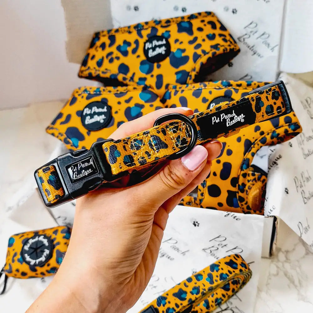 Teal Leopard Dog Collar Medium - Sale - 1