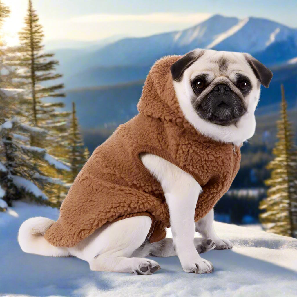 Teddy Sherpa Fleece Sleeveless Dog Zip Hoodie in Brown - Rich Paw - 1