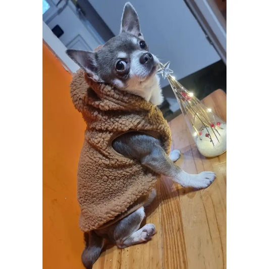 Teddy Sherpa Fleece Sleeveless Dog Zip Hoodie in Brown - Rich Paw - 2