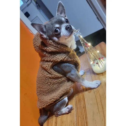Teddy Sherpa Fleece Sleeveless Dog Zip Hoodie in Brown - Rich Paw - 2