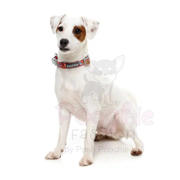 The Homies Dog Collar by Fuzzyard - Fuzzyard - 2