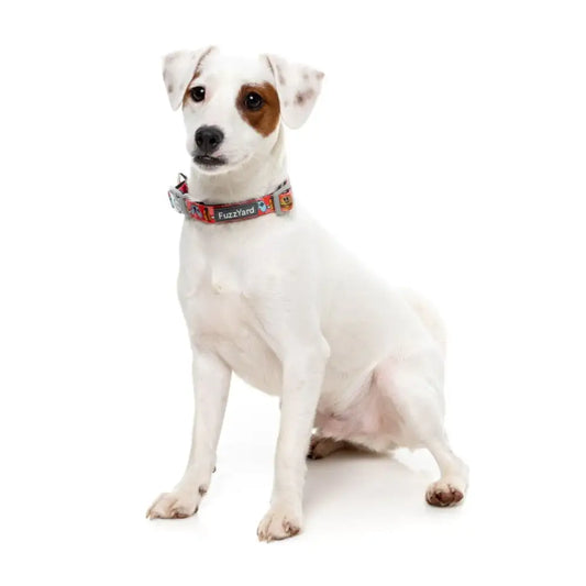 The Homies Dog Collar by Fuzzyard - Fuzzyard - 2