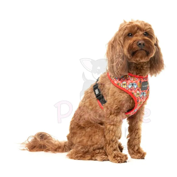 The Homies Dog Harness by Fuzzyard - Fuzzyard - 4