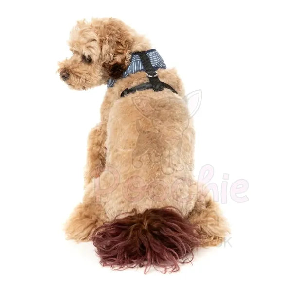 Thornbury Aegean Blue Dog Harness by Fuzzyard Fuzzyard 4