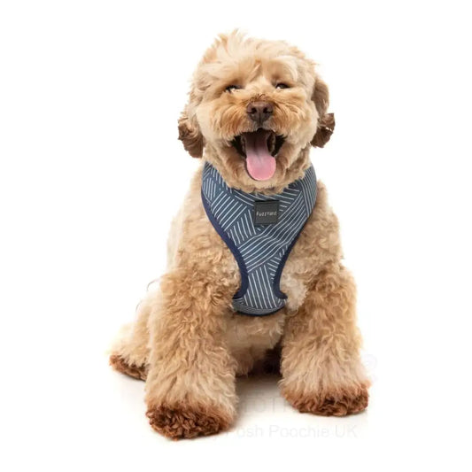 Thornbury Aegean Blue Dog Harness by Fuzzyard - Fuzzyard - 2