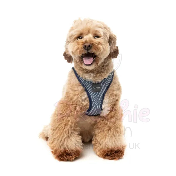 Thornbury Aegean Blue Step in Dog Harness by Fuzzyard Fuzzyard 3