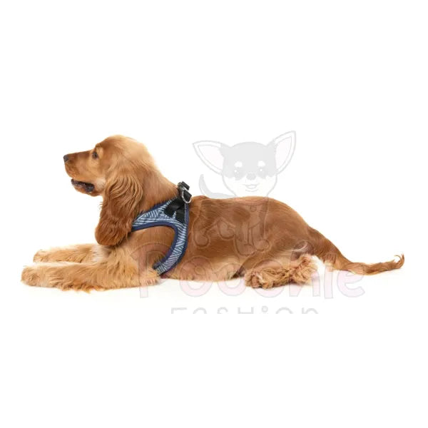 Thornbury Aegean Blue Step in Dog Harness by Fuzzyard Fuzzyard 5