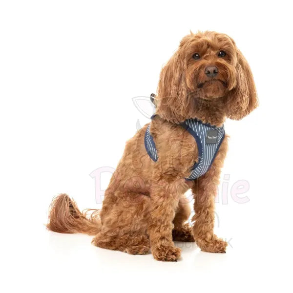 Thornbury Aegean Blue Step in Dog Harness by Fuzzyard Fuzzyard 6
