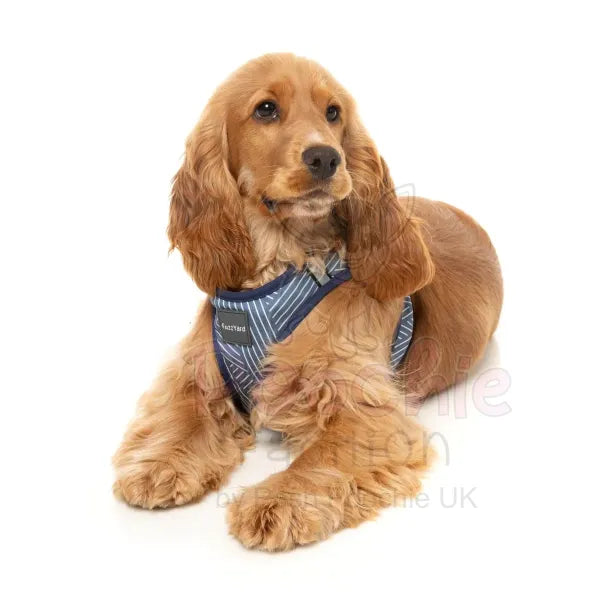 Thornbury Aegean Blue Step in Dog Harness by Fuzzyard Fuzzyard 4