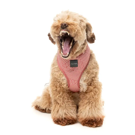 Thornbury Brick Red Dog Harness by Fuzzyard - Fuzzyard - 2