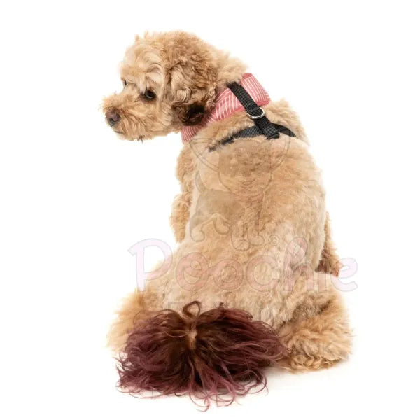 Thornbury Brick Red Dog Harness by Fuzzyard Fuzzyard 4