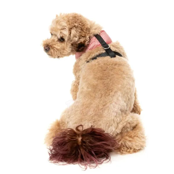 Thornbury Brick Red Dog Harness by Fuzzyard - Fuzzyard - 4