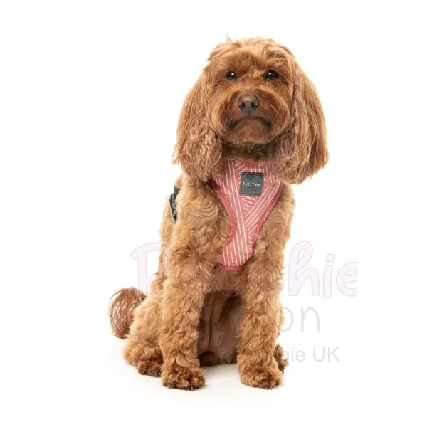 Thornbury Brick Red Dog Harness by Fuzzyard Fuzzyard 3