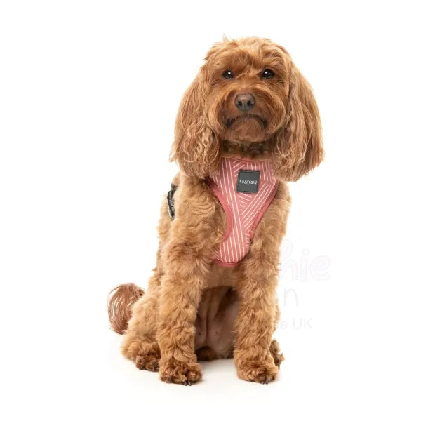 Thornbury Brick Red Dog Harness by Fuzzyard - Fuzzyard - 3