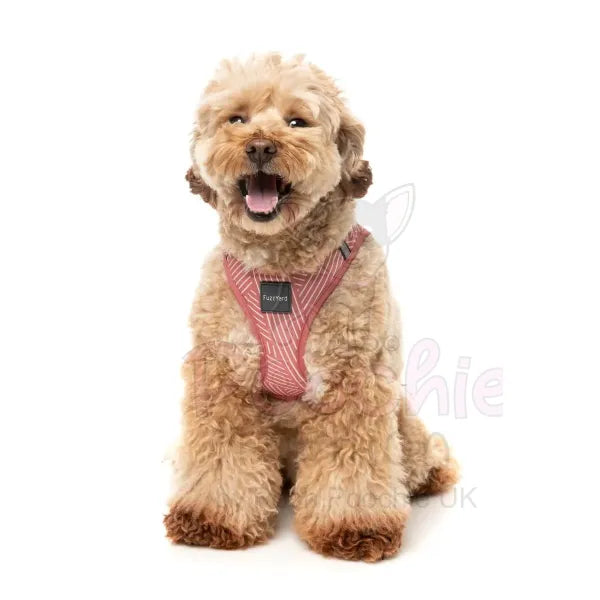 Thornbury Brick Red Step in Dog Harness by Fuzzyard Fuzzyard 5