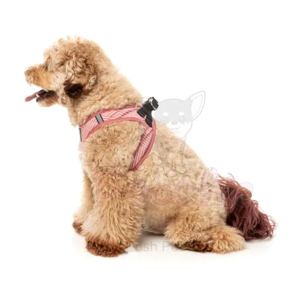 Thornbury Brick Red Step in Dog Harness by Fuzzyard Fuzzyard 7