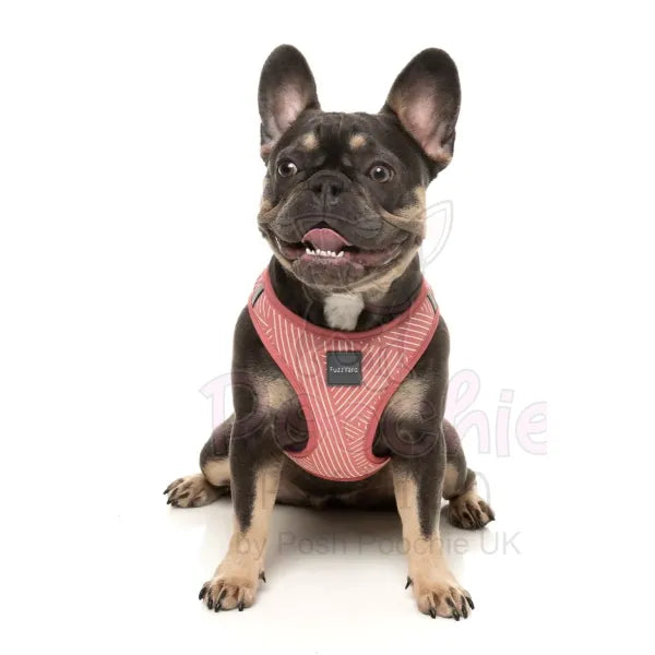 Thornbury Brick Red Step in Dog Harness by Fuzzyard Fuzzyard 3