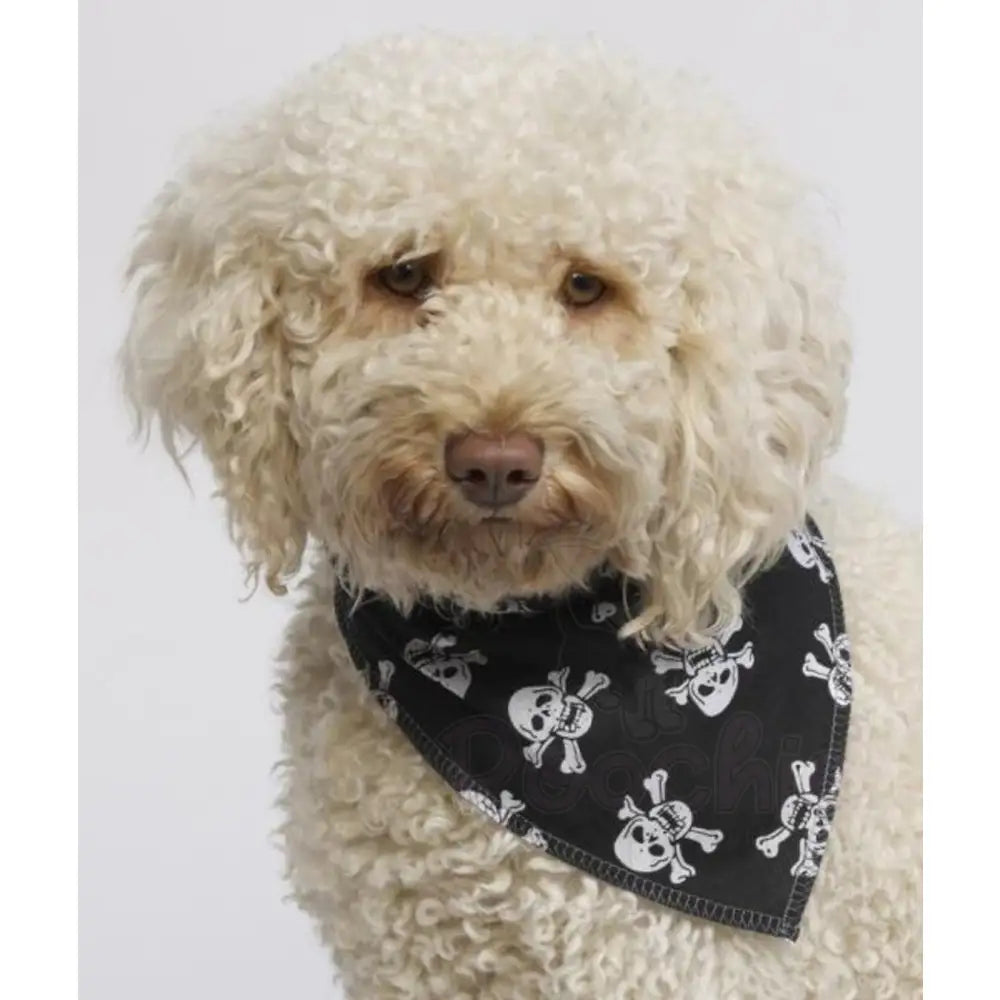 Tie on Skull and Crossbones Dog Bandana - Posh Pawz - 2
