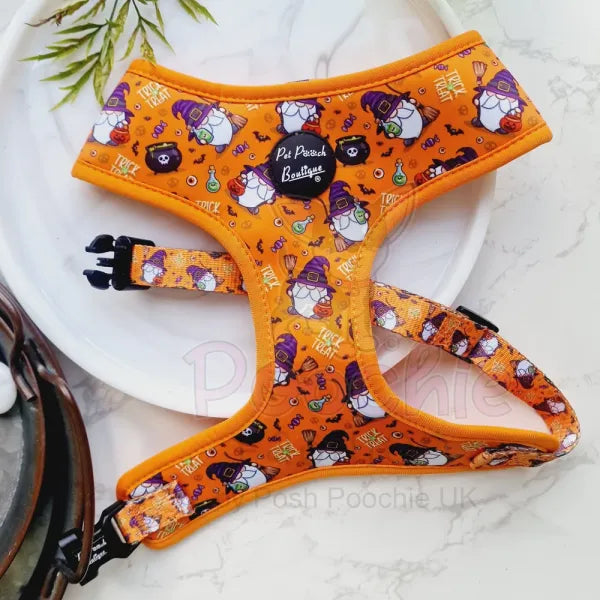 Trick or Treat Harry Halloween Dog Harness Pet Pooch 2