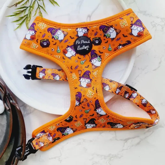 Trick or Treat Harry Halloween Dog Harness - Pet Pooch - 2