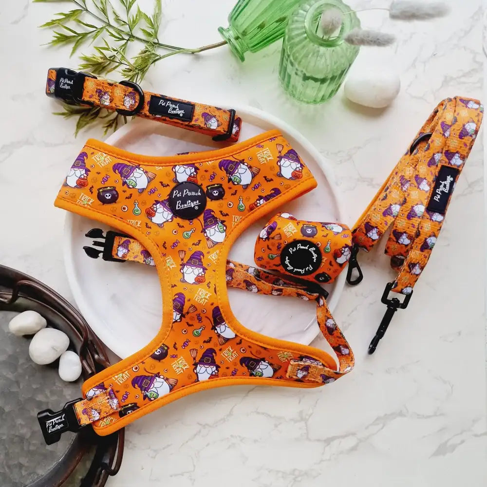 Trick or Treat Harry Halloween Dog Poo Bag Holder - Pet Pooch - 3