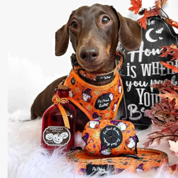Trick or Treat Harry Halloween Dog Poo Bag Holder Pet Pooch 2