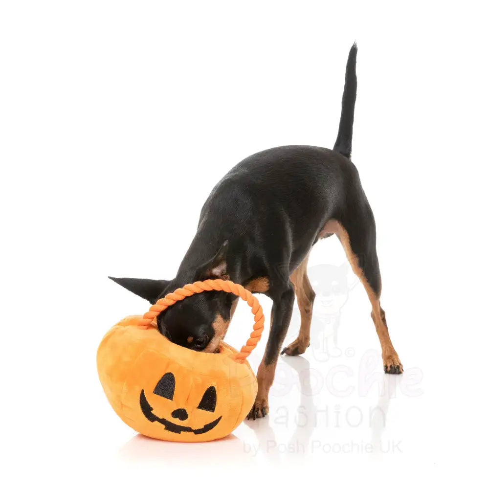 Trick or Treat Pumpkin Basket Dog Toy by Fuzzyard - Fuzzyard - 3