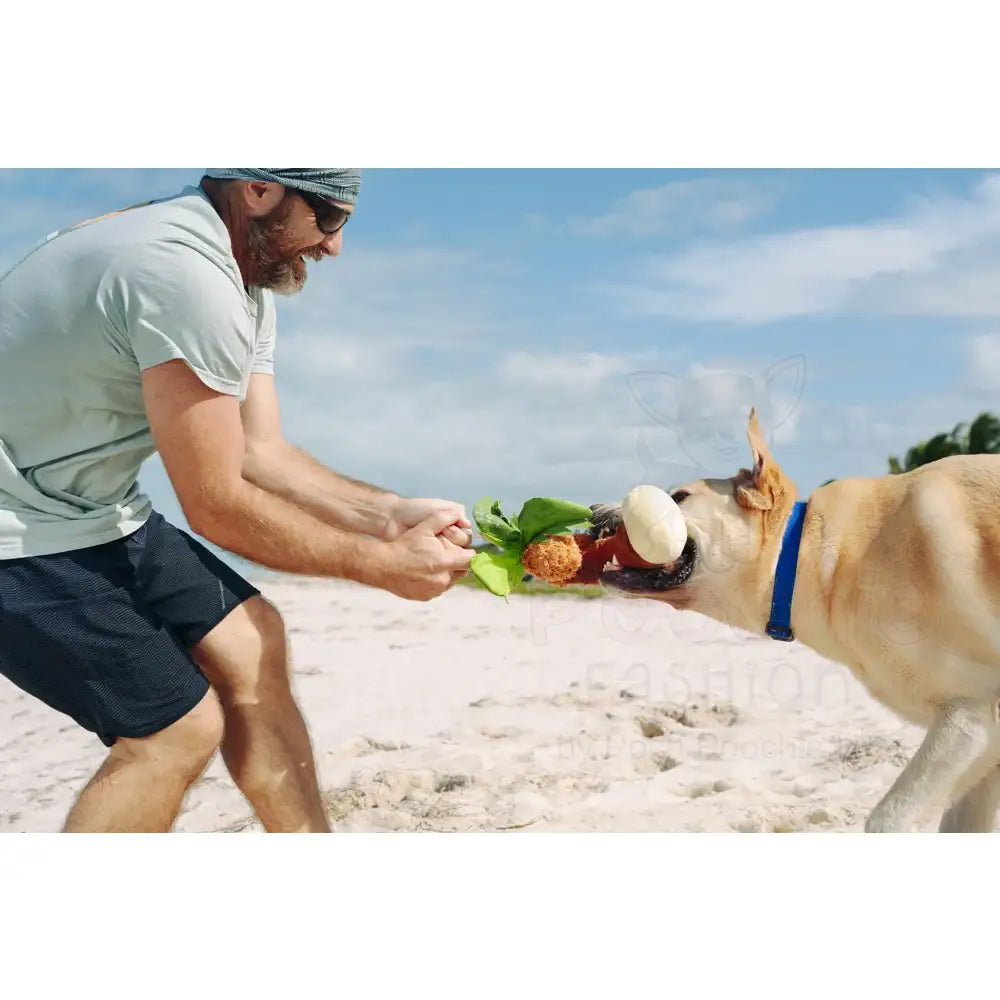 Tropical Paradise Puppy Palm Dog Toy by P.l.a.y - P.l.a.y - 7