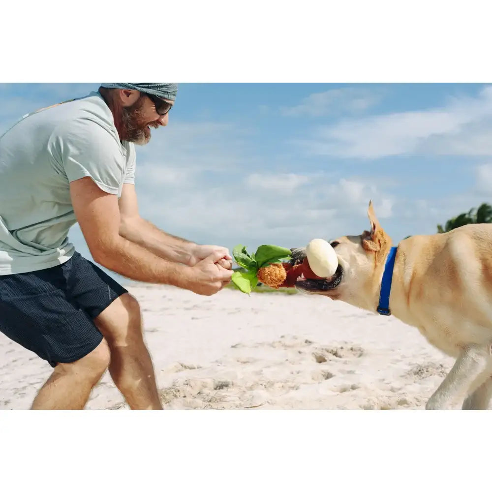Tropical Paradise Puppy Palm Dog Toy by P.l.a.y - P.l.a.y - 7