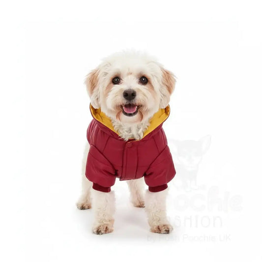 Urban Pup Burgundy Insulated Dog Coat Medium - Sale - 2