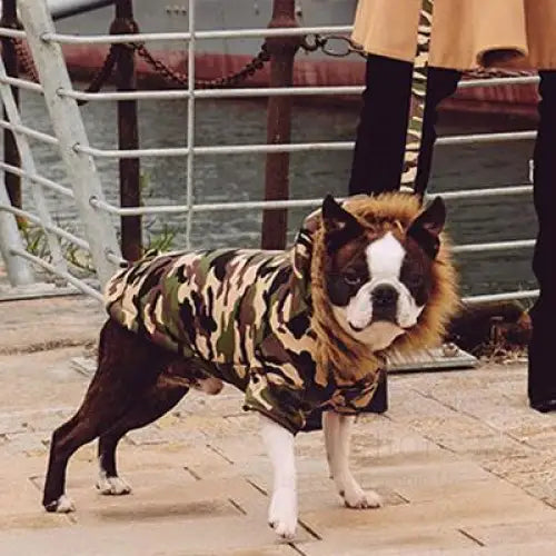 Urban Pup Camouflage Parka Dog Coat Xxl - Sale - 2