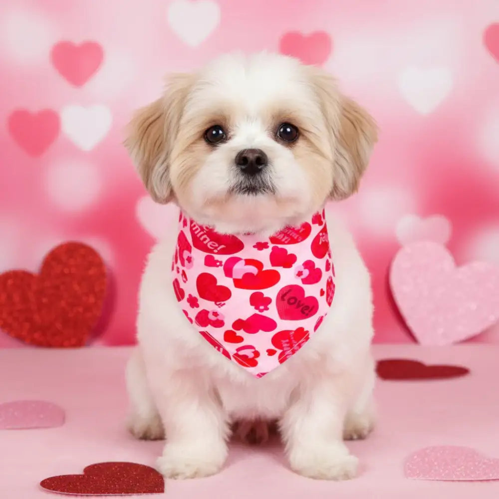 Valentines Tie on Dog Bandana Pink - Posh Pawz - 1