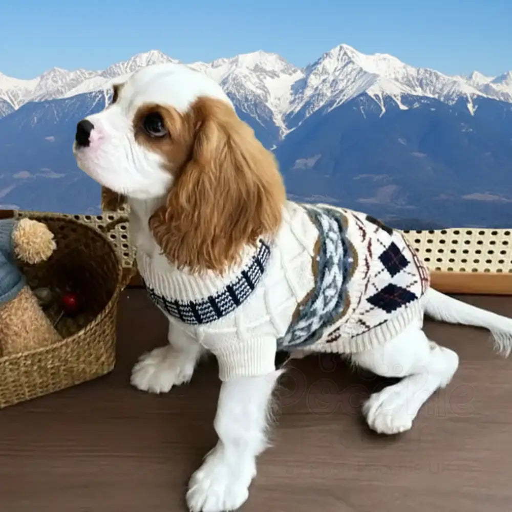 Vintage Argyle Knit Dog Jumper - Posh Pawz - 3