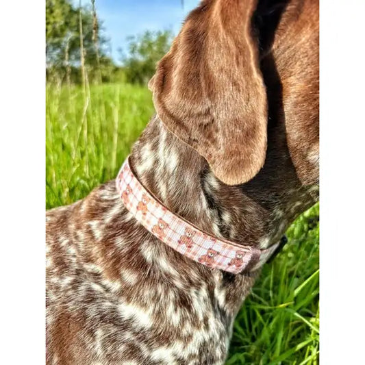 Vintage Bear Gingham Dog Collar - Pet Pooch - 2