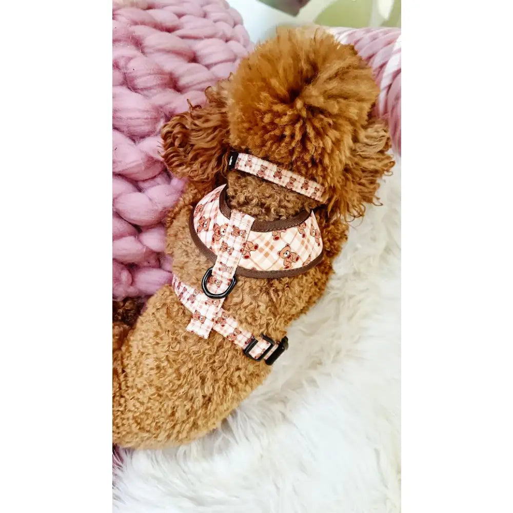 Vintage Bear Gingham Dog Harness - Pet Pooch - 7