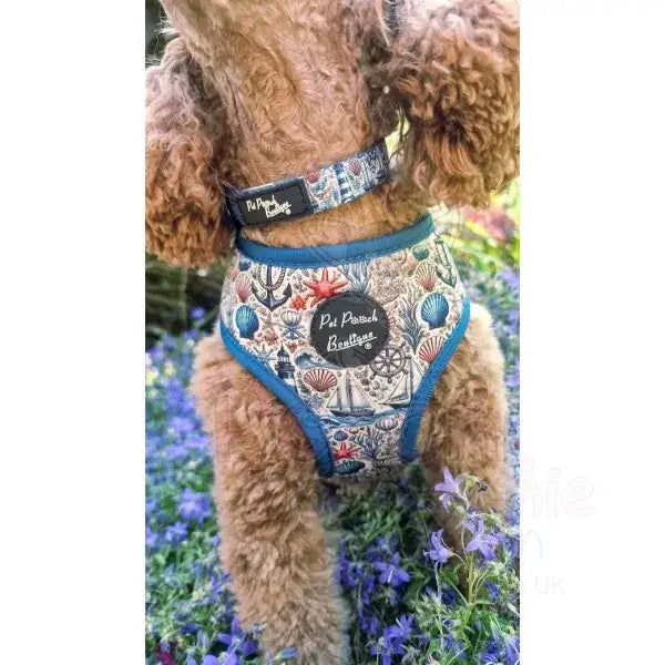 Vintage Nautical Dog Collar - Pet Pooch - 2